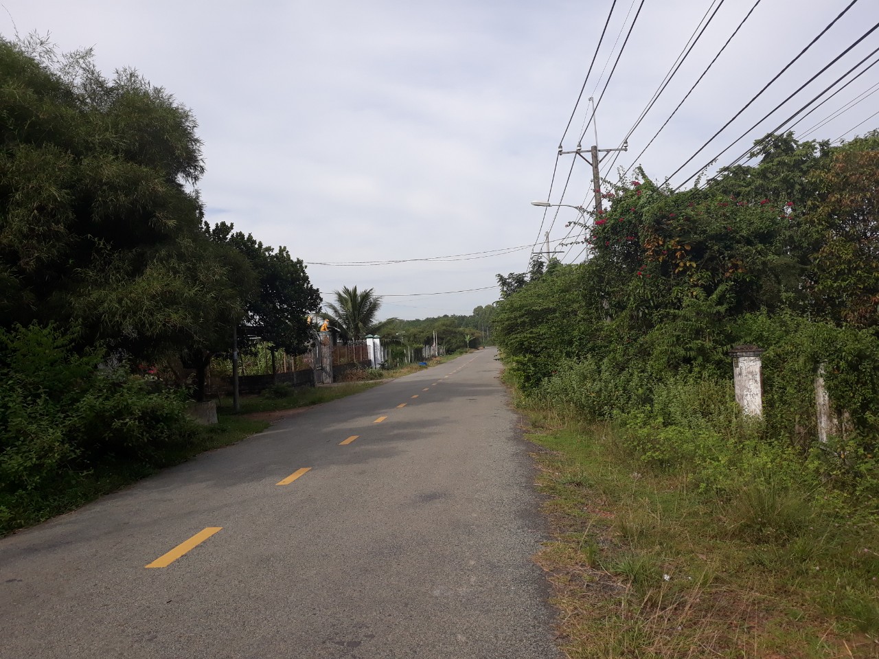 Bán 1150m2 đất mặt tiền đường Bà Thiên xã Nhuận Đức h Củ Chi